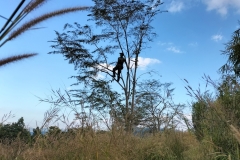 IMG20211209160020