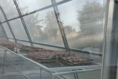 IMG20211211171304
