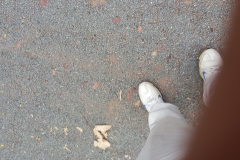 20170505_160606