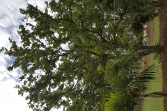 20170505_160927