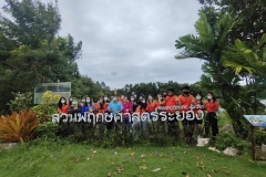 IMG_25650810_153407