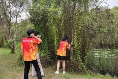 IMG_25650810_155429