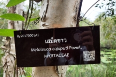 IMG_25650810_155525