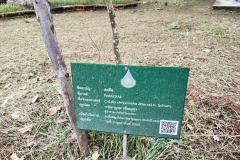 IMG_25650810_162455